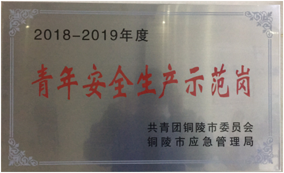 铜陵市青年安全生产示范岗.png