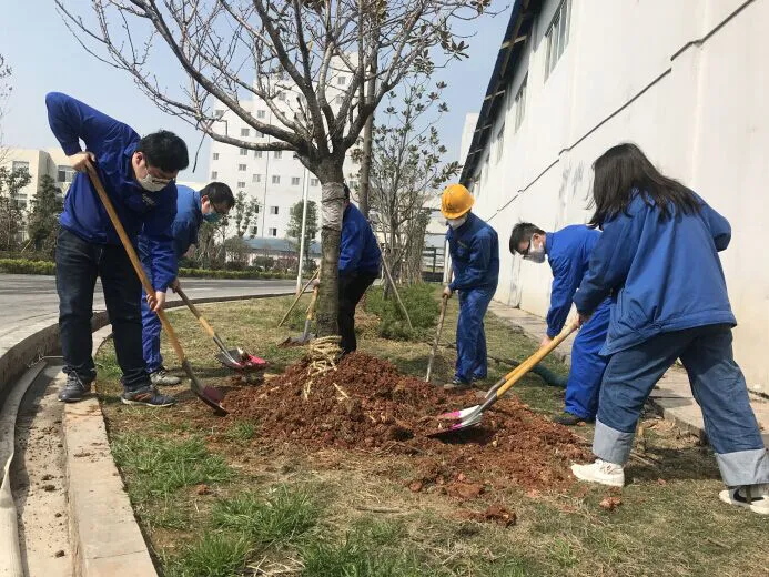 践行绿色行动 践行绿色行动