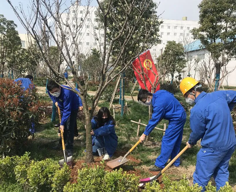 践行绿色行动 践行绿色行动