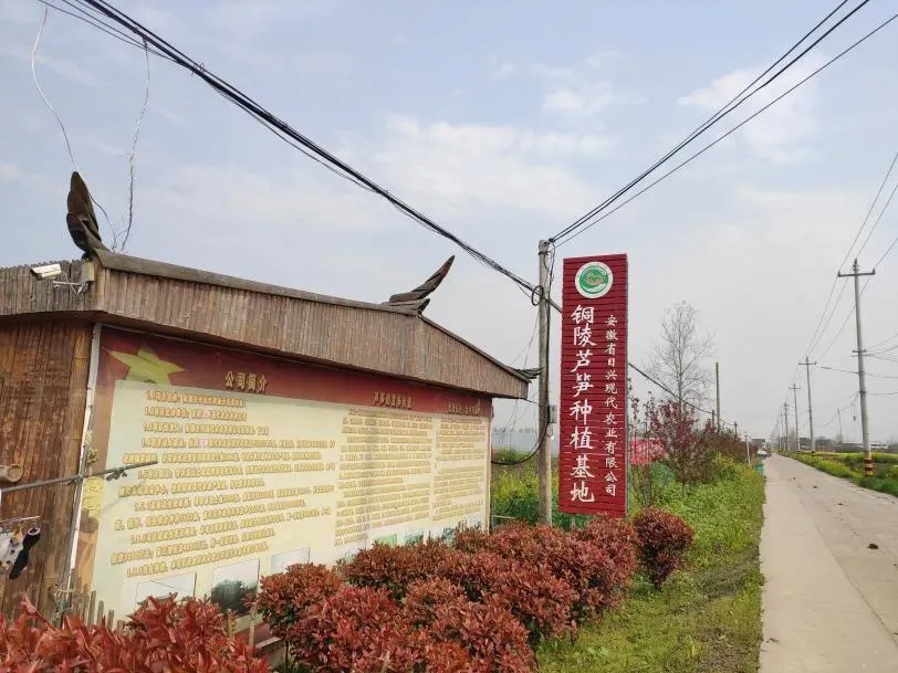 国星助力扶贫基地农产品 国星助力扶贫基地农产品