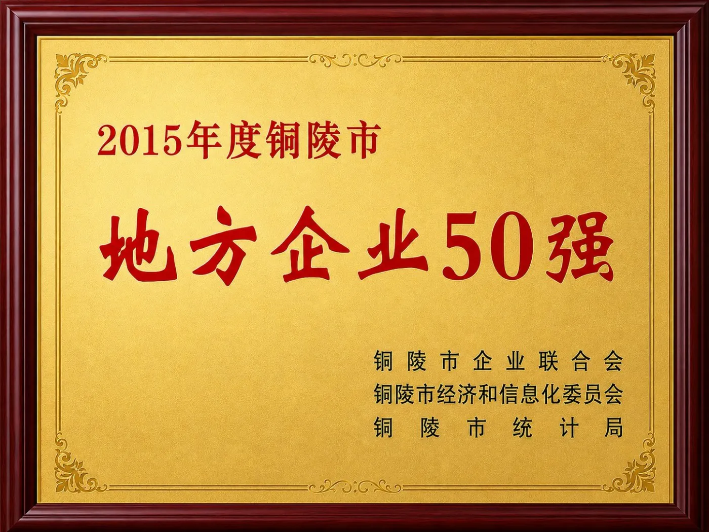 2015年度铜陵市地方企业50强