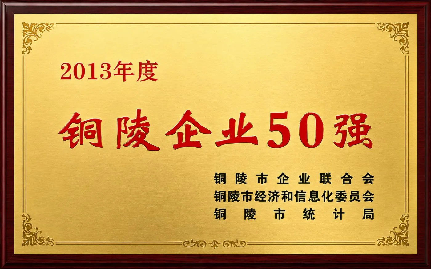 2013年度铜陵市地方企业50强