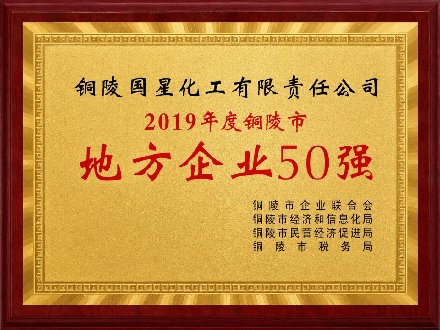 2019年度铜陵市地方企业50强