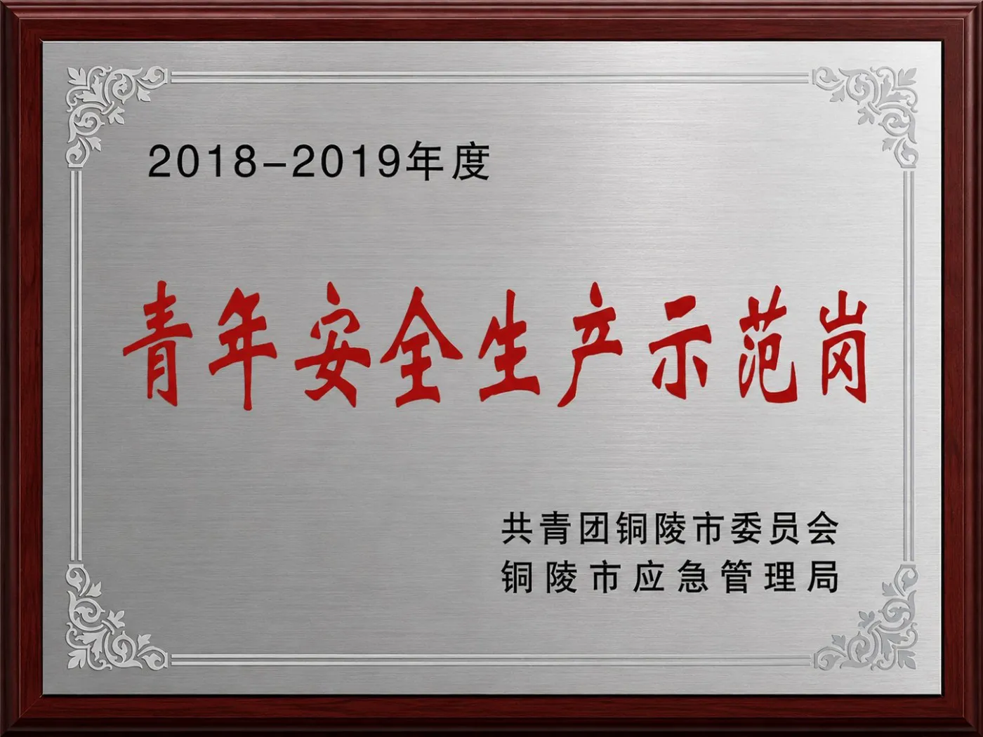 2018-2019年度青年安全生产示范岗