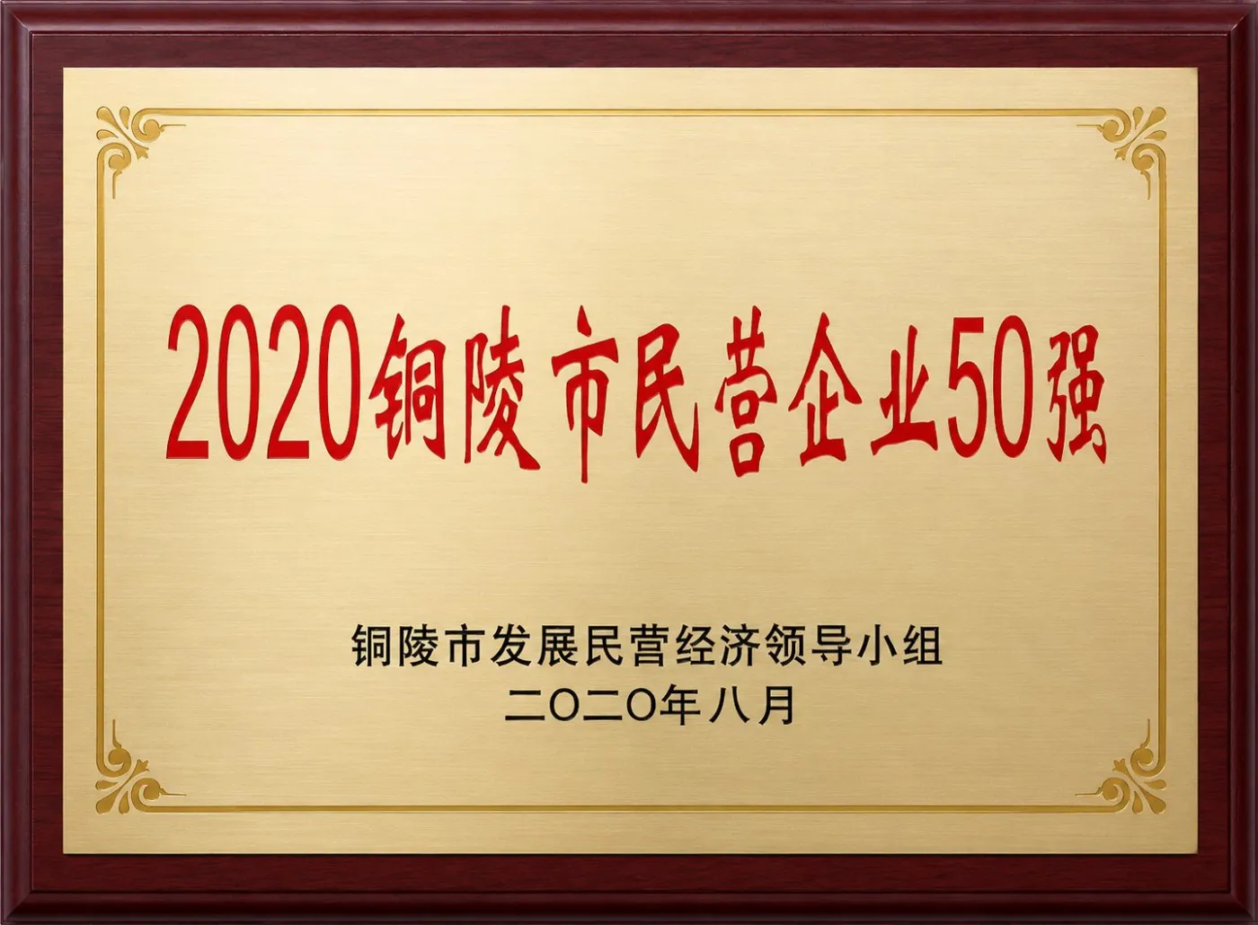 2020铜陵市民营企业50强